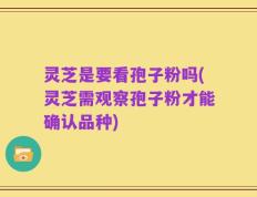 灵芝是要看孢子粉吗(灵芝需观察孢子粉才能确认品种)