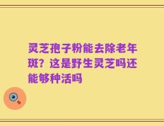 灵芝孢子粉能去除老年斑？这是野生灵芝吗还能够种活吗