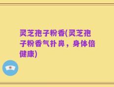 灵芝孢子粉香(灵芝孢子粉香气扑鼻，身体倍健康)