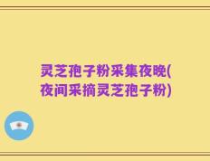 灵芝孢子粉采集夜晚(夜间采摘灵芝孢子粉)