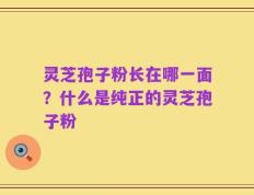 灵芝孢子粉长在哪一面？什么是纯正的灵芝孢子粉