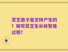 灵芝孢子是怎样产生的？探究灵芝生长和繁殖过程？