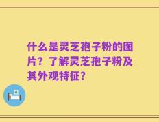 什么是灵芝孢子粉的图片？了解灵芝孢子粉及其外观特征？