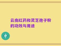云南红药和灵芝孢子粉的功效与用途