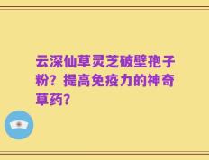 云深仙草灵芝破壁孢子粉？提高免疫力的神奇草药？