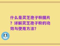 什么是灵芝孢子粉图片？详解灵芝孢子粉的功效与使用方法？