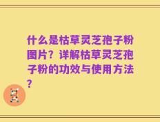 什么是枯草灵芝孢子粉图片？详解枯草灵芝孢子粉的功效与使用方法？