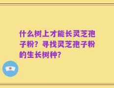 什么树上才能长灵芝孢子粉？寻找灵芝孢子粉的生长树种？