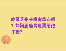 吃灵芝孢子粉有烧心感？如何正确食用灵芝孢子粉？