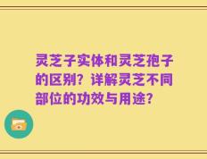 灵芝子实体和灵芝孢子的区别？详解灵芝不同部位的功效与用途？
