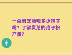 一朵灵芝能喷多少孢子粉？了解灵芝的孢子粉产量？