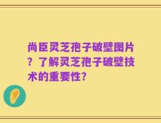 尚臣灵芝孢子破壁图片？了解灵芝孢子破壁技术的重要性？