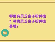 哪里有灵芝孢子粉种植？寻找灵芝孢子粉种植基地？