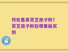 何处售真灵芝孢子粉？灵芝孢子粉在哪里能买到