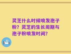 灵芝什么时候喷发孢子粉？灵芝的生长周期与孢子粉喷发时间？