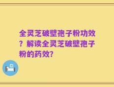 全灵芝破壁孢子粉功效？解读全灵芝破壁孢子粉的药效？