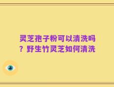 灵芝孢子粉可以清洗吗？野生竹灵芝如何清洗