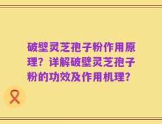 破壁灵芝孢子粉作用原理？详解破壁灵芝孢子粉的功效及作用机理？