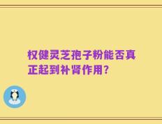 权健灵芝孢子粉能否真正起到补肾作用？