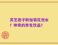 灵芝孢子粉加菊花泡水？神奇的养生饮品？