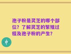 孢子粉是灵芝的哪个部位？了解灵芝的繁殖过程及孢子粉的产生？