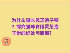 为什么猫吃灵芝孢子粉？探究猫咪食用灵芝孢子粉的好处与原因？