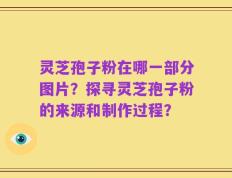 灵芝孢子粉在哪一部分图片？探寻灵芝孢子粉的来源和制作过程？