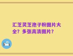 汇芝灵芝孢子粉图片大全？多张高清图片？