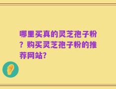 哪里买真的灵芝孢子粉？购买灵芝孢子粉的推荐网站？