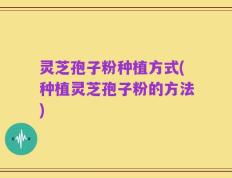 灵芝孢子粉种植方式(种植灵芝孢子粉的方法)