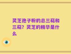灵芝孢子粉的总三萜和三萜？灵芝的精华是什么