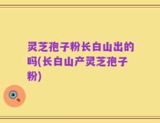 灵芝孢子粉长白山出的吗(长白山产灵芝孢子粉)