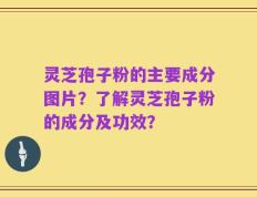 灵芝孢子粉的主要成分图片？了解灵芝孢子粉的成分及功效？