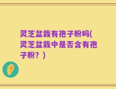 灵芝盆栽有孢子粉吗(灵芝盆栽中是否含有孢子粉？)