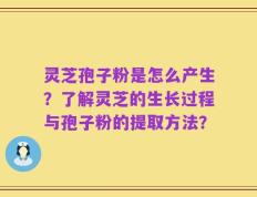 灵芝孢子粉是怎么产生？了解灵芝的生长过程与孢子粉的提取方法？