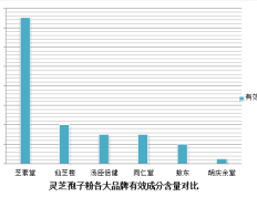 瘦人可以喝灵芝孢子粉吗？解析灵芝孢子粉的功效与适用人群？