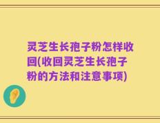 灵芝生长孢子粉怎样收回(收回灵芝生长孢子粉的方法和注意事项)