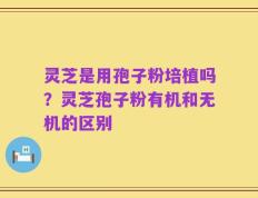 灵芝是用孢子粉培植吗？灵芝孢子粉有机和无机的区别