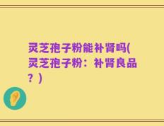 灵芝孢子粉能补肾吗(灵芝孢子粉：补肾良品？)