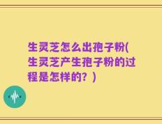生灵芝怎么出孢子粉(生灵芝产生孢子粉的过程是怎样的？)