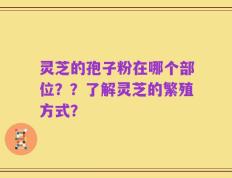 灵芝的孢子粉在哪个部位？？了解灵芝的繁殖方式？