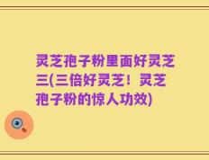 灵芝孢子粉里面好灵芝三(三倍好灵芝！灵芝孢子粉的惊人功效)