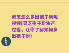 灵芝怎么多出孢子粉呢视频(灵芝孢子粉生产过程，让你了解如何多出孢子粉)