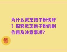 为什么灵芝孢子粉伤肝？探究灵芝孢子粉的副作用及注意事项？