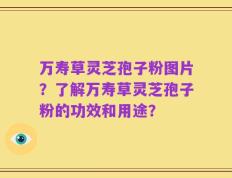 万寿草灵芝孢子粉图片？了解万寿草灵芝孢子粉的功效和用途？