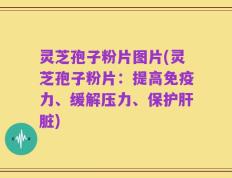 灵芝孢子粉片图片(灵芝孢子粉片：提高免疫力、缓解压力、保护肝脏)