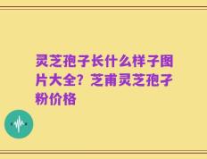 灵芝孢子长什么样子图片大全？芝甫灵芝孢孑粉价格
