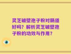 灵芝破壁孢子粉对肠道好吗？解析灵芝破壁孢子粉的功效与作用？