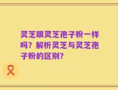灵芝跟灵芝孢子粉一样吗？解析灵芝与灵芝孢子粉的区别？