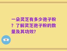 一朵灵芝有多少孢子粉？了解灵芝孢子粉的数量及其功效？
